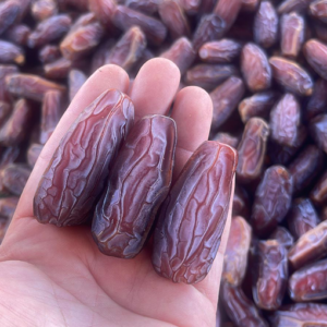 العناصر الغذائية والمغذيات الدقيقة مع توفير العناصر المطلوبة